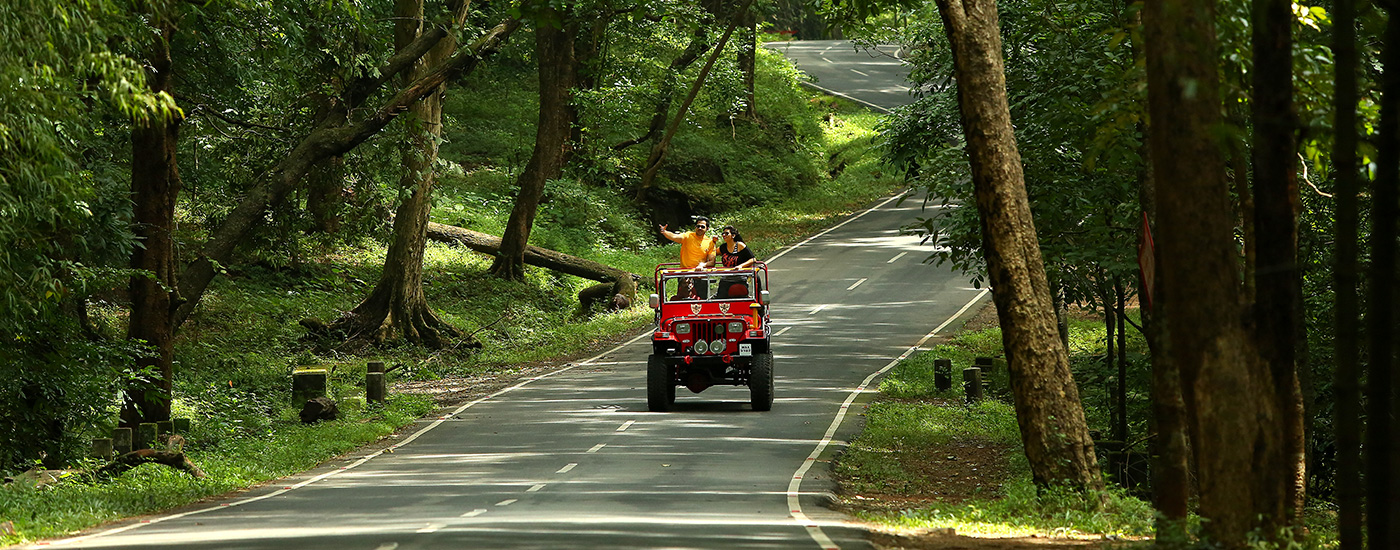 luxury resorts in athirapally | Premium Resorts in Athirapally